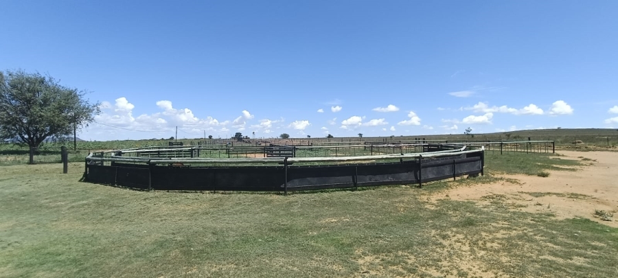 3 Bedroom Property for Sale in Bloemfontein Rural Free State